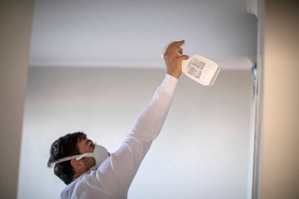 Best HVAC Mold Remediation in Petaluma, CA