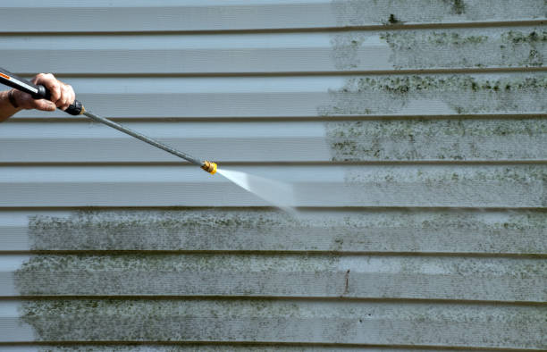 Best Mold Remediation for Schools in Petaluma, CA