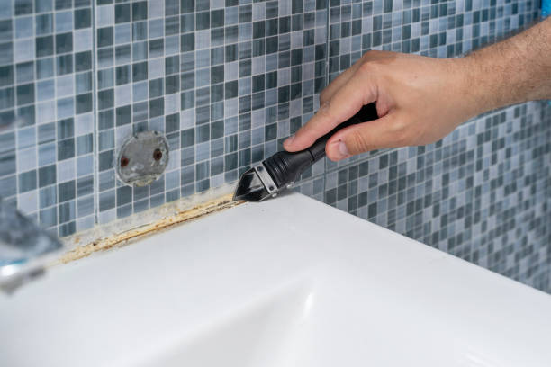 Petaluma, CA Mold Remediation Company